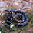 Icon of program: Most Deadly Snakes
