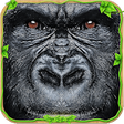 Icon of program: Ultimate Gorilla Clan Sim…