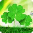 Icon of program: Celtic ringtones free. Ir…