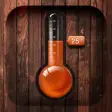 Icon of program: Digital Thermometer app