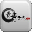 Icon of program: Qvision
