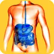 Icon of program: Gastroenterology Basics