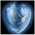 Icon of program: Personal Day Number