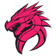 Icon of program: Redragon - DragonDash