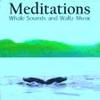 Icon of program: Meditations Whales Waltz …