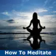 Icon of program: How To Meditate: Discover…