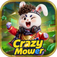 Icon of program: Crazy Mower