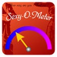 Icon of program: Sexy-O-Meter : are you se…
