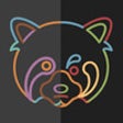 Icon of program: Raccoon - Anonymous Clien…