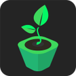 Icono de programa: My Seed Trays