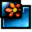 Icon of program: e-Bankers