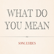 Icon of program: What Do You Mean