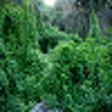 Icon of program: National Park In South Af…