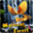 Icon of program: Amazing Mystical Forest