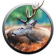 Icon of program: Wild Deer Hunting Extreme…