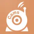 Icon of program: LiveCams for iPhone