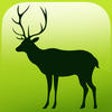 Icon of program: EVO ANIMAL - Augmented Re…