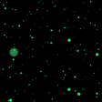 Icon of program: Particles 3D Screensaver