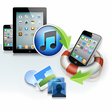 Icon of program: Vibosoft iPhone iPad iPod…