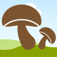 Icon of program: Grzybownik