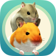 Icon of program: Namaham