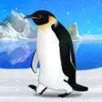 Icon of program: Penguin Aquarium