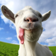 Icon of program: Goat Simulator