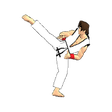 Icon of program: Final Karate (free)