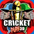 Icon of program: Cricket Play 3D for Windo…