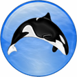 Icono de programa: Application Killer