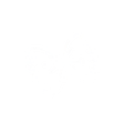 Icon of program: Farfalle