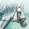 Icon of program: Horse Matching - Puzzle M…