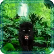 Icon of program: Panther Black live wallpa…