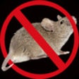 Icon of program: Rat And Mouse Sound Repel…