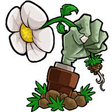 Icono de programa: Plants vs Zombies
