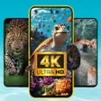 Icon of program: ParaWall: 4K Live Wallpap…