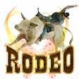 Icon of program: Bull Rodeo Live Wallpaper