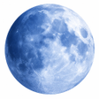 Icono de programa: Pale Moon Browser