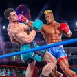 Icon of program: Ninja Punch Boxing Warrio…