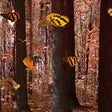 Icono de programa: 3D Butterflies in Autumn