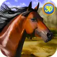 Icon of program: Arabian Horse Simulator