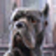 Icono de programa: Witch Hunters: Stolen Bea…