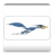 Icono de programa: RoadRunner Express
