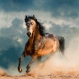 Icon of program: Horse Wallpapers & Backgr…