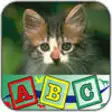 Icon of program: Alphabets & Animals for T…