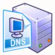Icon of program: DNS Manager