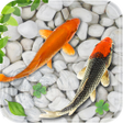 Icon of program: Fish Live Wallpaper 2018:…