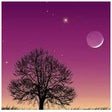 Icono de programa: Moon Void Of Course