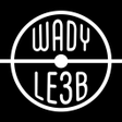 Icon of program: Wady Le3b