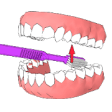 Icon of program: DentalCluj Brush Assistan…